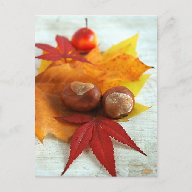 Fall Gefühle Postkarte (Vorderseite)