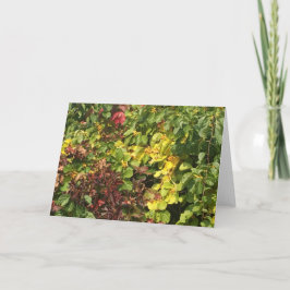 Fall Grußkarte Feiertagskarte