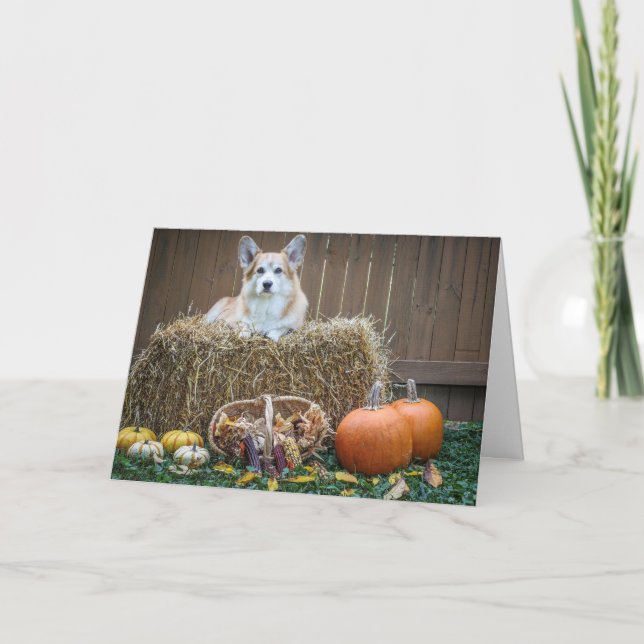 Fall/Halloween-Korgi-Blindkarte Karte (Vorderseite)