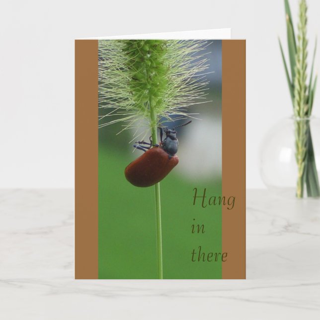 Fall herein dort karte (Vorderseite)