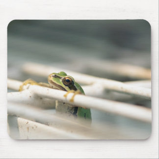 Fall herein dort! mousepad