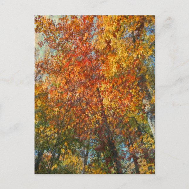 Fall im impressionistischen Stil Postkarte (Vorderseite)