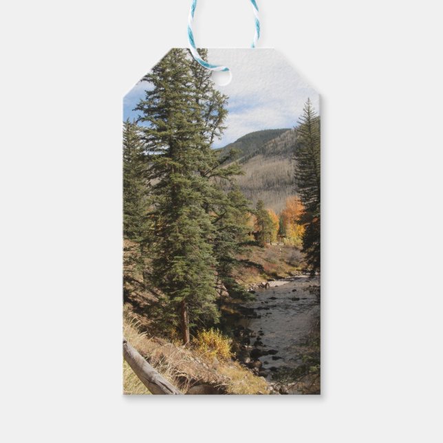 Fall in Aspen Geschenkanhänger (Vorderseite)