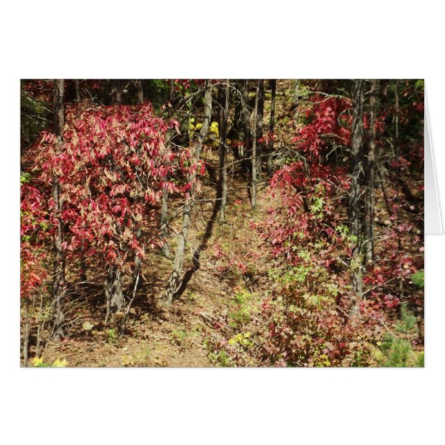 Fall in das Smokies (Vorderseite (Horizontal))