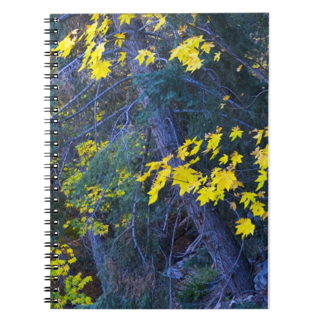 Fall in den Bergen 6 Notizblock (Vorderseite)