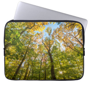 Fall in einem Wald in Amesbury, Massachusetts Laptopschutzhülle