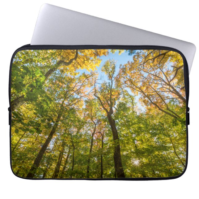 Fall in einem Wald in Amesbury, Massachusetts Laptopschutzhülle (Vorderseite)