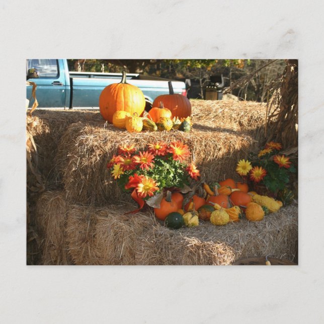 Fall in Ellington, CT. Postkarte (Vorderseite)