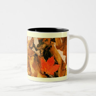 Fall in Herbst verlässt Tasse