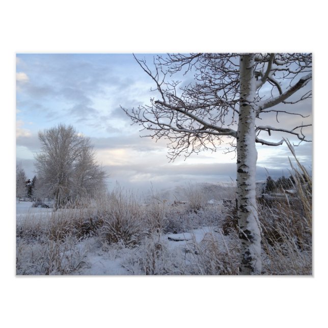 Fall in Jackson Hole, WY Fotodruck (Vorne)
