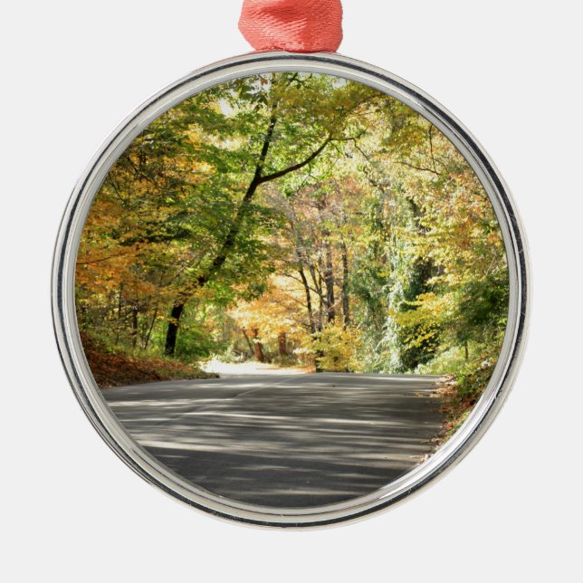 Fall in Neu-England hintere Straße Ornament Aus Metall (Vorne)