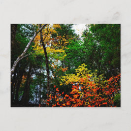 Fall in New England-postcard Postkarte