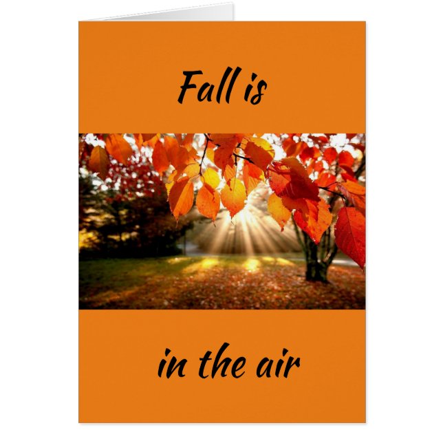 FALL IST IN DER LUFT/LIEBE IST IN MEINEM HERZ (Vorne)