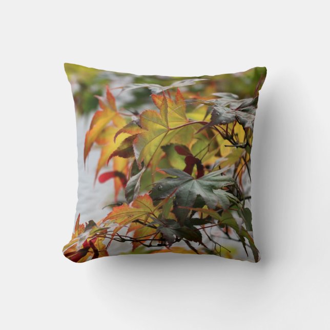 Fall Kissen (Vorderseite)