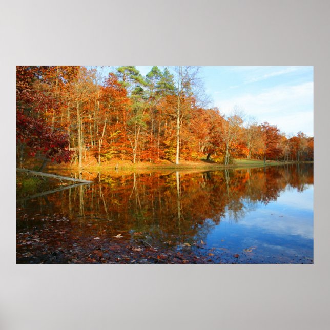 Fall Lake Poster (Vorne)