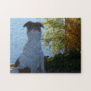 Fall Lake und Borzoi