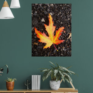 Fall Leaf Bright Version des Bildes. Restiq. Poster