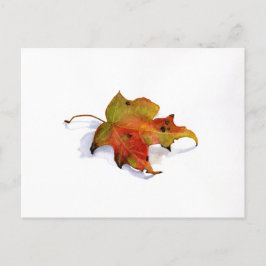 Fall Leaf Watercolor Postcard Postkarte