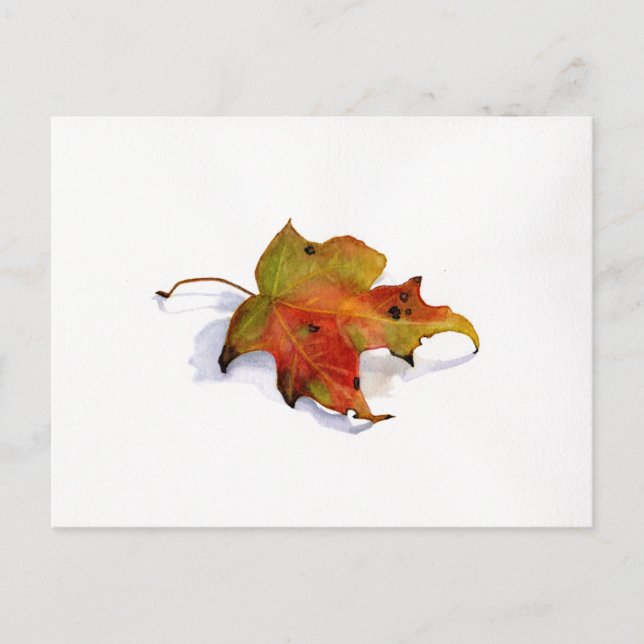 Fall Leaf Watercolor Postcard Postkarte (Vorderseite)