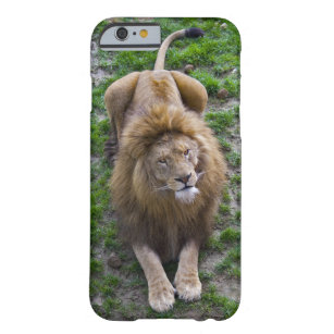 Fall Leonine iPhone 6 Barely There iPhone 6 Hülle