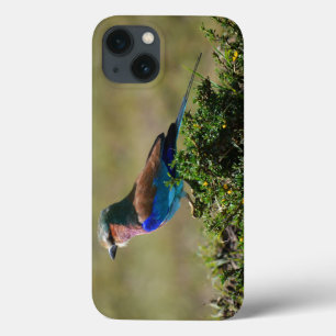 Fall Lilac Breasted Roller iPad Mini Case-Mate iPhone Hülle