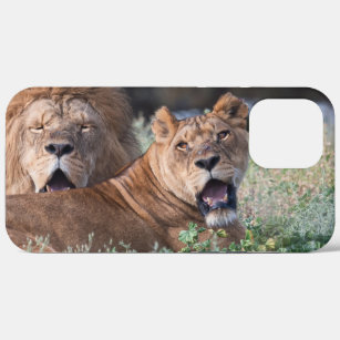 Fall Lion Case-Mate iPhone Case-Mate iPhone Hülle