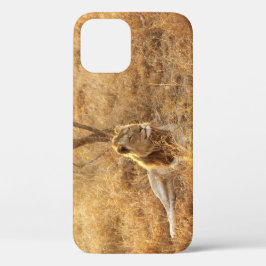 Fall Lion iPhone 12 Case-Mate iPhone Hülle