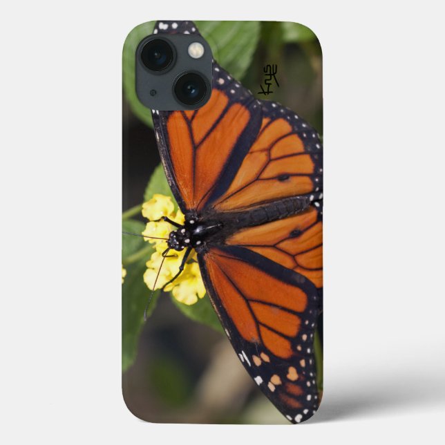 Fall Monarch iPad Case-Mate iPhone Hülle (Rückseite)