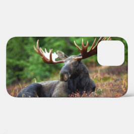 Fall Moose iPhone 12 Case-Mate iPhone Hülle