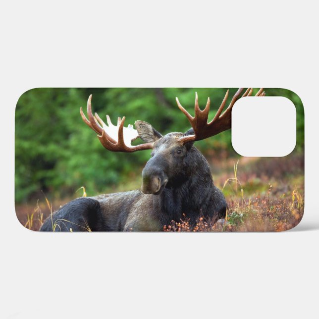Fall Moose iPhone 12 Case-Mate iPhone Hülle (Rückseite (Horizontal))