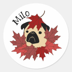 Fall Mops mit Blätter Runder Aufkleber