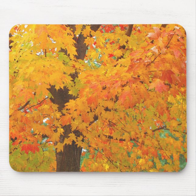 Fall mousepad (Vorne)