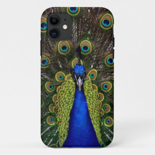 Fall Peacock iPhone5 Case-Mate iPhone Hülle