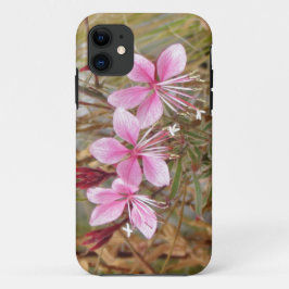 Fall: Pink Guara title_seo2
