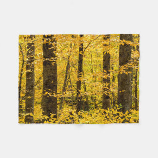 Fall Pisgah National Forest Fleecedecke