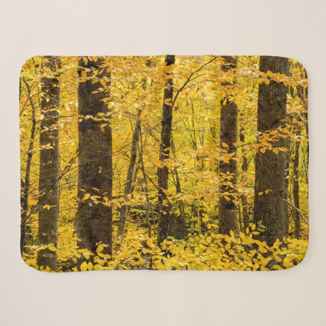 Fall Pisgah National Forest Sherpadecke (Vorderseite (Horizontal))