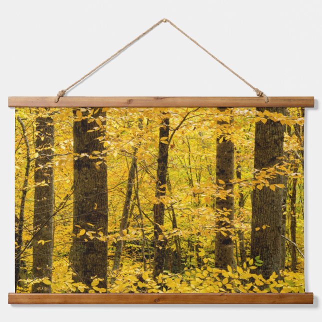 Fall Pisgah National Forest Wandteppich Mit Holzrahmen (Vorne)