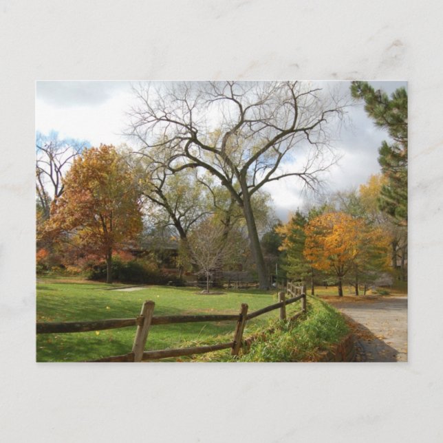 Fall Postkarte (Vorderseite)