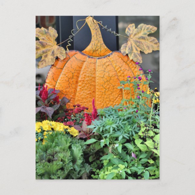 Fall Postkarte (Vorderseite)