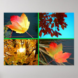 Fall-Pracht Poster