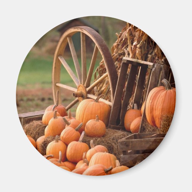 Fall Pumpkin Harvest Magnet (Vorne)