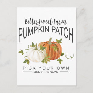FALL PUMPKIN PATCH POSTKARTE