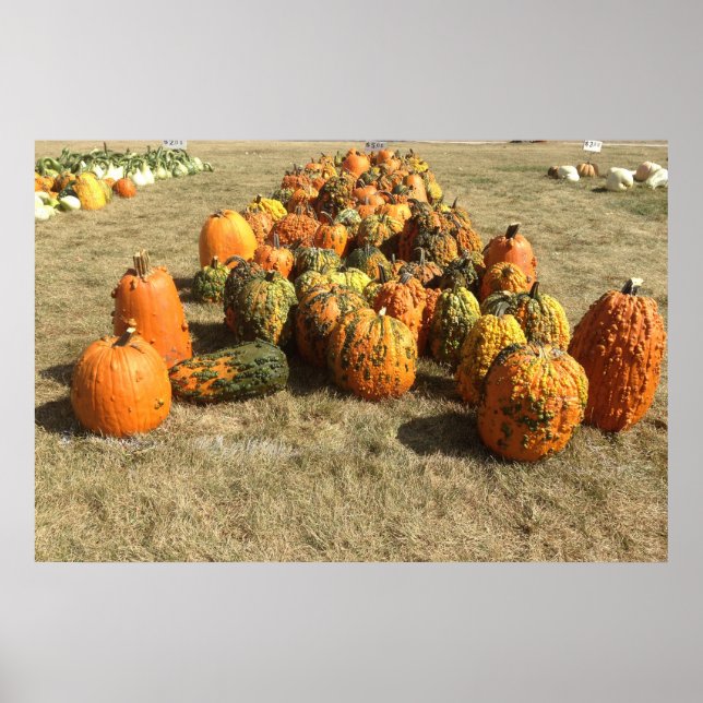 Fall Pumpkin Sale Poster (Vorne)