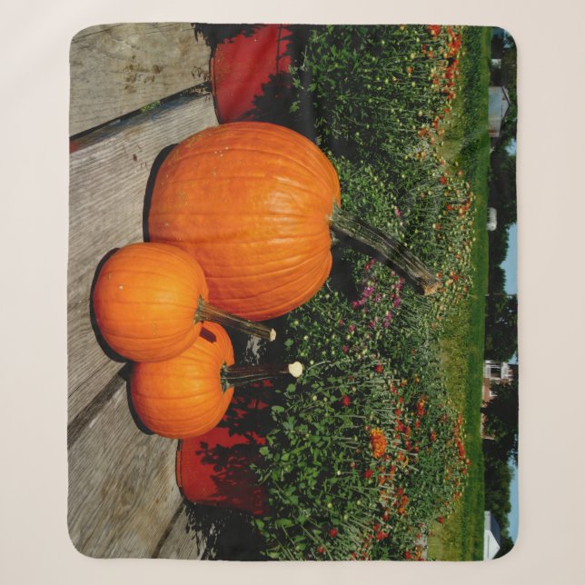 Fall Pumpkins und Mums auf Sherpadecke (Vorderseite)