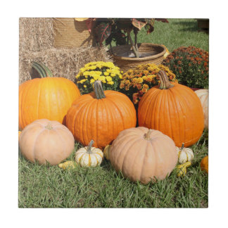 Fall Pumpkins und Mums Foto Fliese