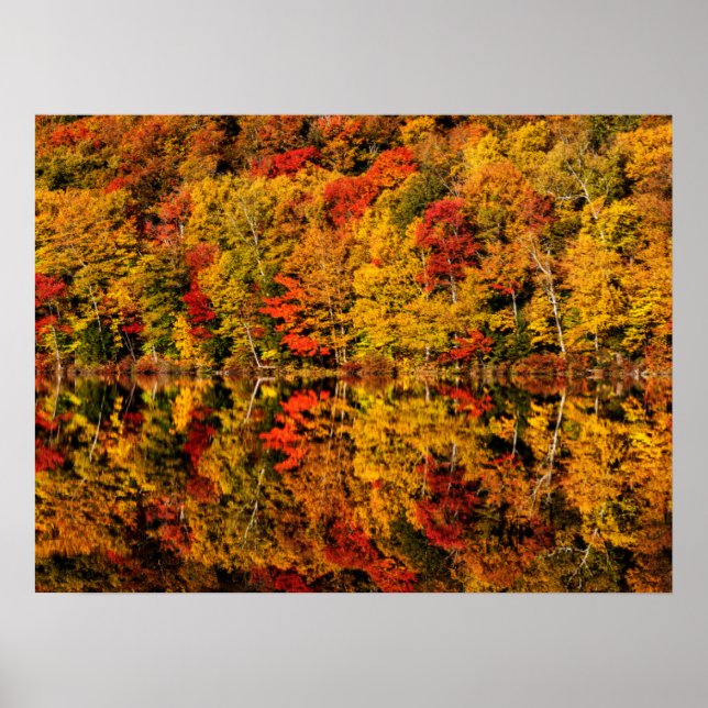 Fall Reflektion über den Russell-Teich | New Hamps Poster (Vorne)