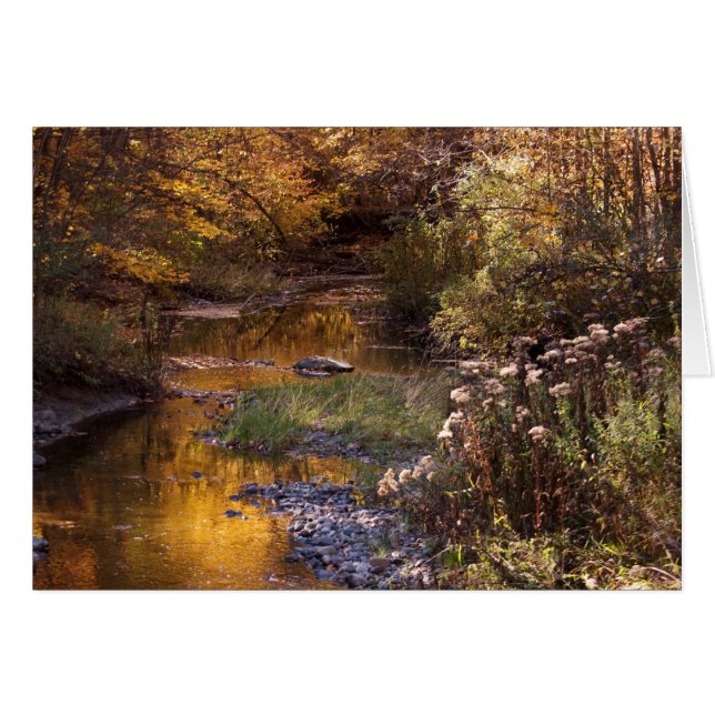 Fall-River (Vorderseite (Horizontal))