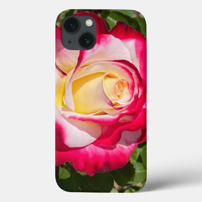 Fall Rot und Gelb Rose Case-Mate Telefon Case-Mate iPhone Hülle (Rückseite)