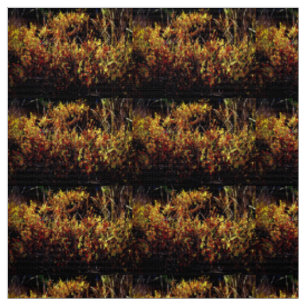 "Fall Season of Gold" Stoff