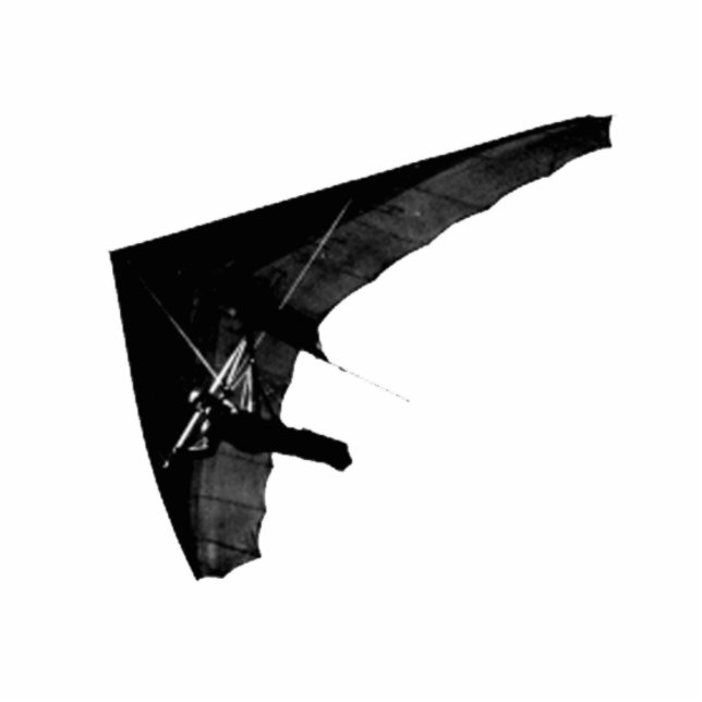 Fall-Segelflugzeug-Foto-Skulptur Freistehende Fotoskulptur (Vorne)